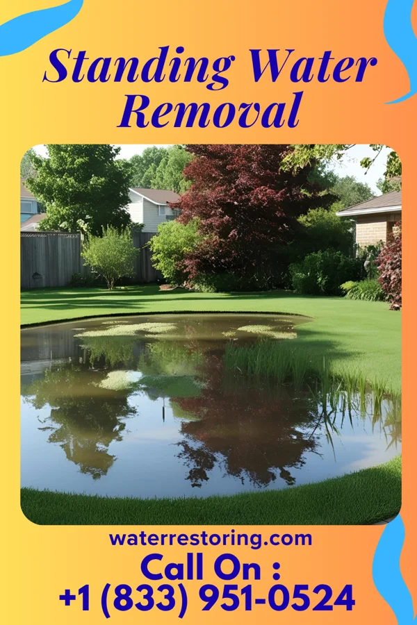 Standing Water Removal in Stratford Downtown, CT